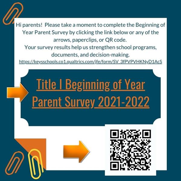 Title I Survey